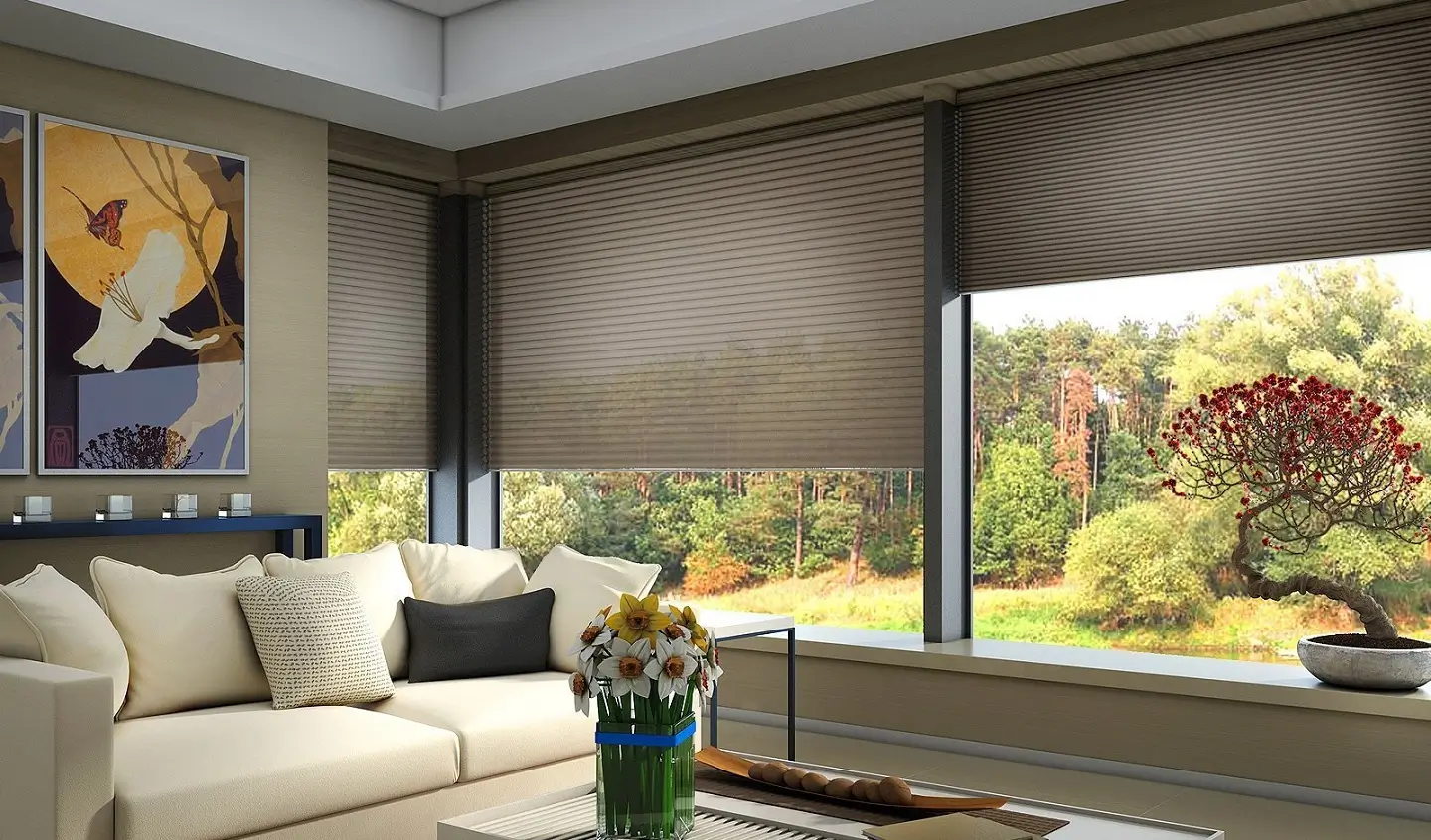 Motorized Blinds